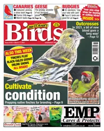 6153 March 17 2021 
                issue 6153 March 17 2021