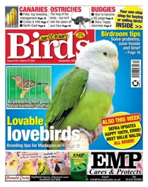 6155 March 31 2021 
                issue 6155 March 31 2021