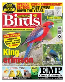 #6196 Jan 19 2022 
                issue #6196 Jan 19 2022