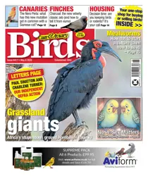 6th May 2026 
                issue 6th May 2026