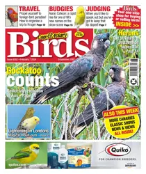 7-Feb-24 
                issue 7-Feb-24