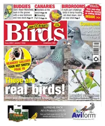 Cage & Aviary Birds 
                issue 7th January 2026
