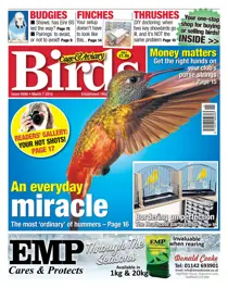 7th March 2018 
                issue 7th March 2018
