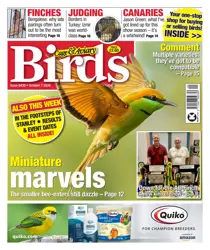 Cage & Aviary Birds issue 7th October 2026