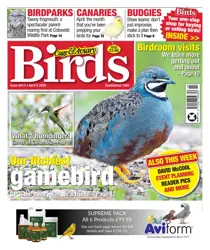 8th April 2026 
                issue 8th April 2026