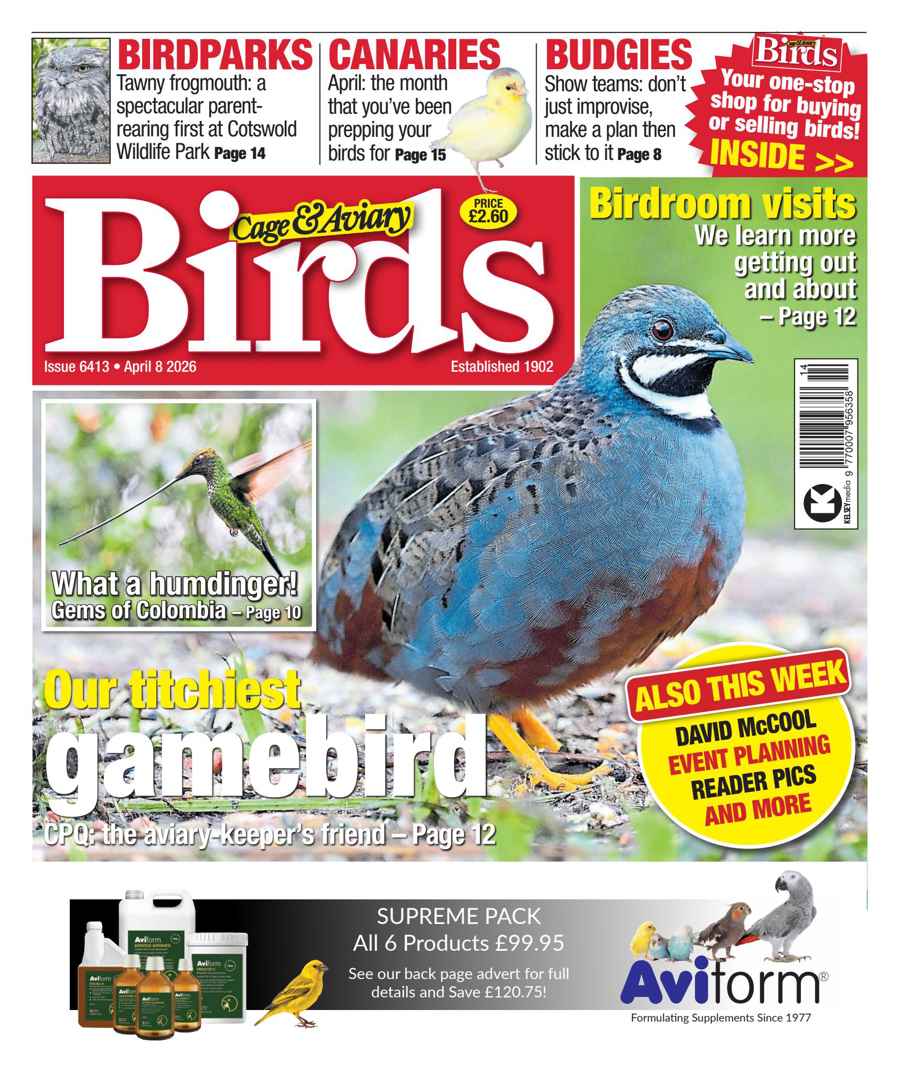 CAGE AND AVIARY BIRDS