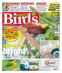 8th October 2025 
                issue 8th October 2025