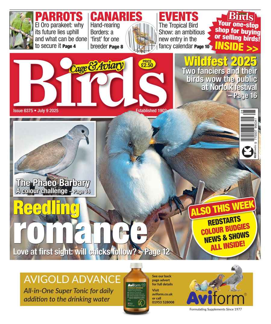 CAGE AND AVIARY BIRDS