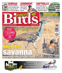 Cage & Aviary Birds issue 9th September 2026