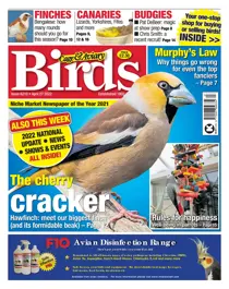 April 27th 2022 
                issue April 27th 2022