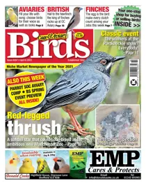 April 6th 2022 
                issue April 6th 2022