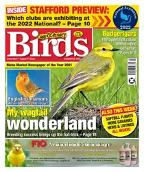 August 24th 2022 
                issue August 24th 2022