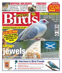 August 31st 2022 
                issue August 31st 2022