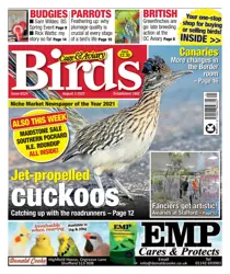 August 3rd 2022 
                issue August 3rd 2022