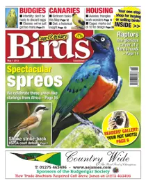 Cage & Aviary 1 May 2013 
                issue Cage & Aviary 1 May 2013