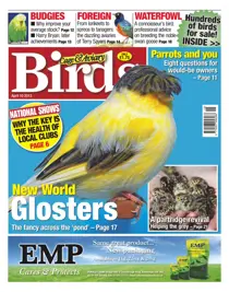 Cage & Aviary 10 April 2013 
                issue Cage & Aviary 10 April 2013