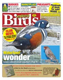 Cage & Aviary 12 December 2012 
                issue Cage & Aviary 12 December 2012