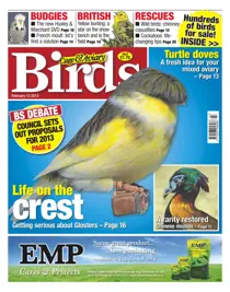 Cage & Aviary 13 February 2013 
                issue Cage & Aviary 13 February 2013