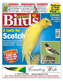 Cage & Aviary 13 March 2013 
                issue Cage & Aviary 13 March 2013