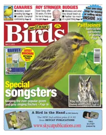 Cage & Aviary 17 April 2013 
                issue Cage & Aviary 17 April 2013