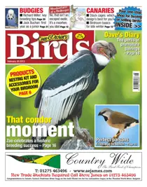 Cage & Aviary 20 February 2013 
                issue Cage & Aviary 20 February 2013