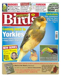 Cage & Aviary 21 November 2012 
                issue Cage & Aviary 21 November 2012