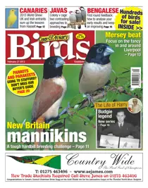 Cage & Aviary 27 February 2013 
                issue Cage & Aviary 27 February 2013