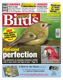 Cage & Aviary 27 March 2013 
                issue Cage & Aviary 27 March 2013