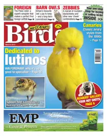 Cage & Aviary 6 March 2013 
                issue Cage & Aviary 6 March 2013