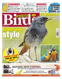 Cage and Aviary August 1 2012 
                issue Cage and Aviary August 1 2012