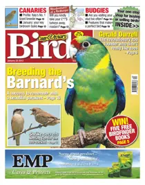 Cage & Aviary Jan 23 2013 
                issue Cage & Aviary Jan 23 2013