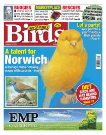 Cage & Aviary January 16 2013 
                issue Cage & Aviary January 16 2013