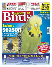 Cage and Aviary July 18 2012 
                issue Cage and Aviary July 18 2012
