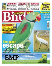 Cage and Aviary March 28 2012 
                issue Cage and Aviary March 28 2012