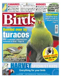 Cage and Aviary September 5 2012 
                issue Cage and Aviary September 5 2012