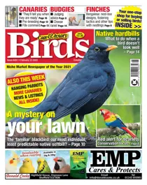 Feb 23rd 2022 
                issue Feb 23rd 2022