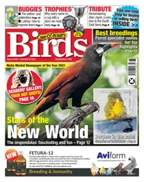 Feb 9th 2022 
                issue Feb 9th 2022