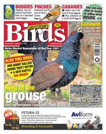 Jan 26 2022 
                issue Jan 26 2022