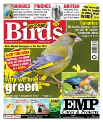 July 20th 2022 
                issue July 20th 2022