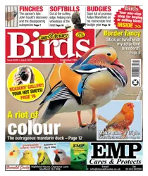 July 6th 2022 
                issue July 6th 2022