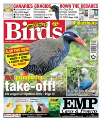 June 15th 2022 
                issue June 15th 2022