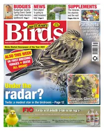 June 1st 2022 
                issue June 1st 2022