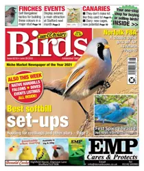 June 29th 2022 
                issue June 29th 2022