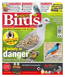 June 8th 2022 
                issue June 8th 2022