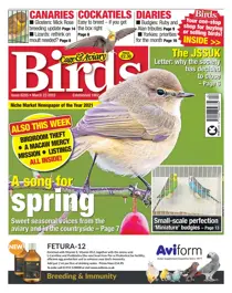 March 23rd 2022 
                issue March 23rd 2022