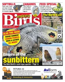 March 2nd 2022 
                issue March 2nd 2022