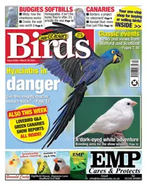 March 30th 2022 
                issue March 30th 2022