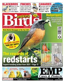 March 9th 2022 
                issue March 9th 2022