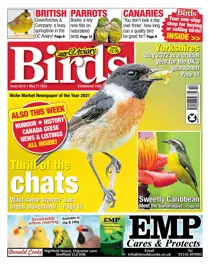 May 11th 2022 
                issue May 11th 2022