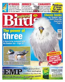No. 5859 The Power Of Three 
                issue No. 5859 The Power Of Three